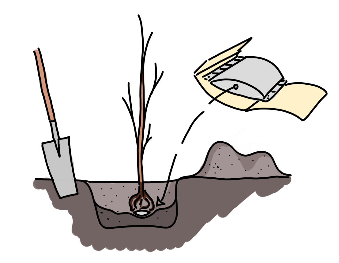 4-treestart